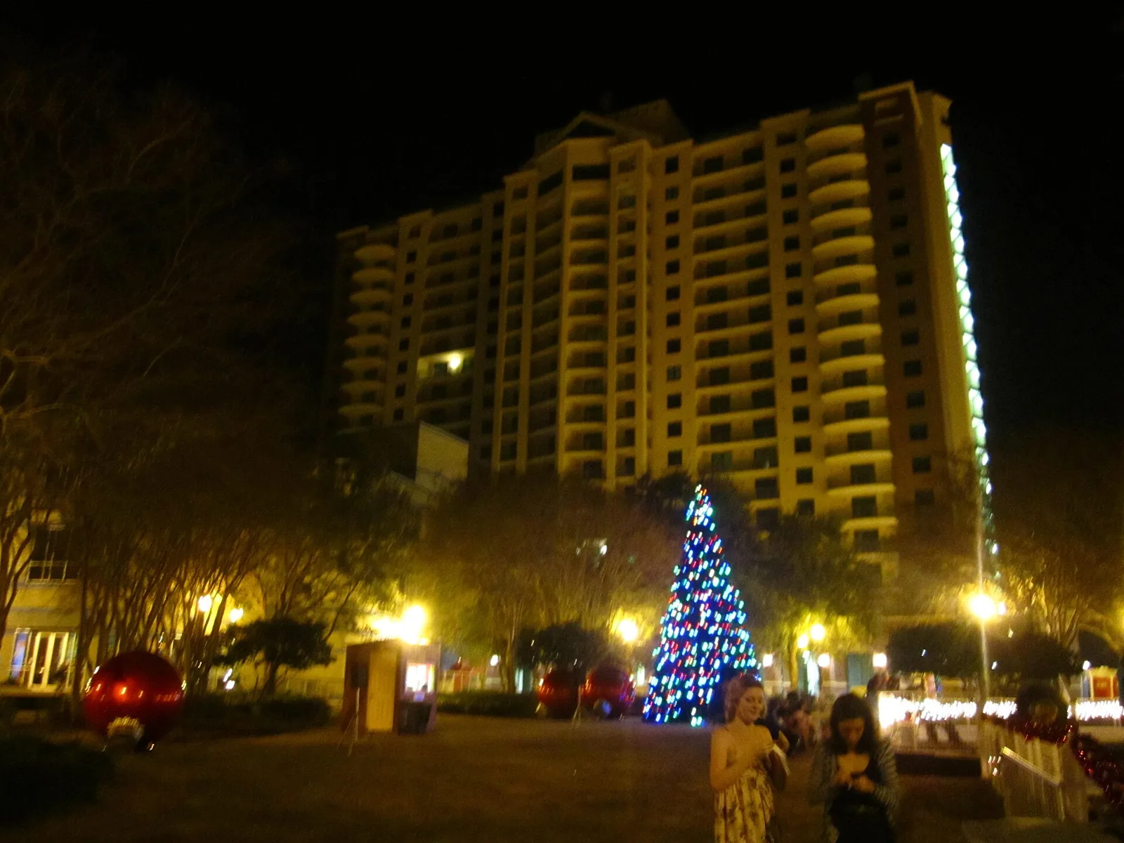 A lit Christmas tree on a downtown Tallahassee plaza at night, below a residential tower.