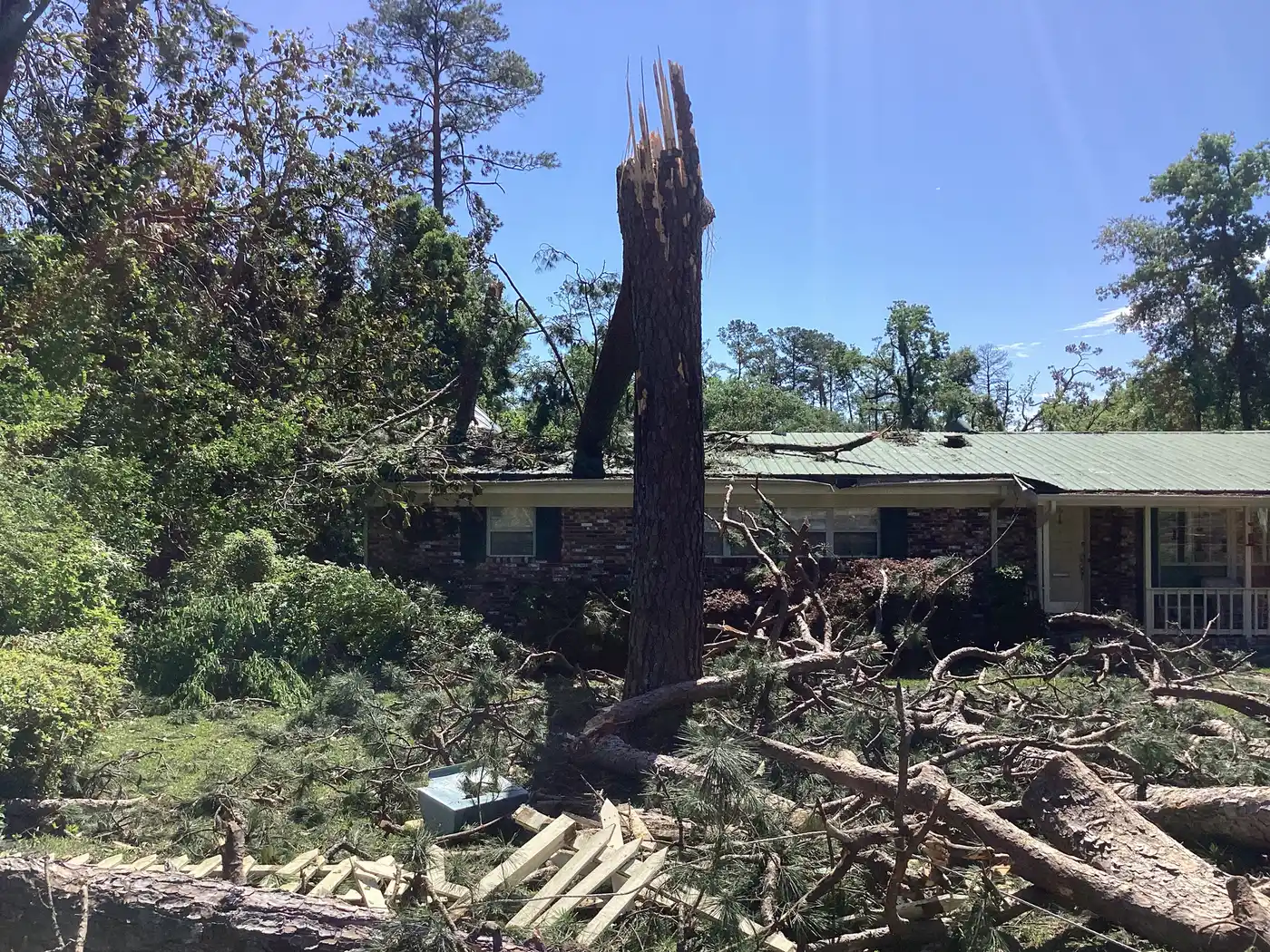 A tree that fell onto a home in Tallahassee during the May 10, 2024, tornado.