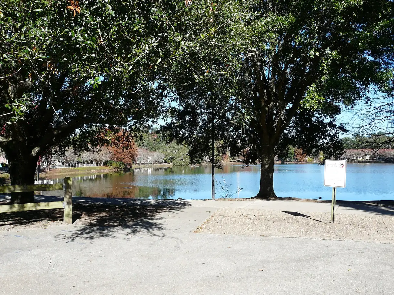 Lake Ella and its walking path under live oaks in Tallahassee.