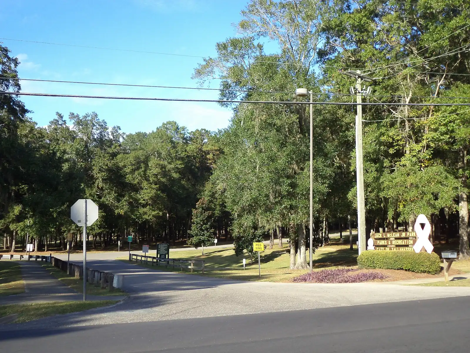 The entrance drive and pines at Jack L. McLean Jr. Park on Tallahassee's south side.