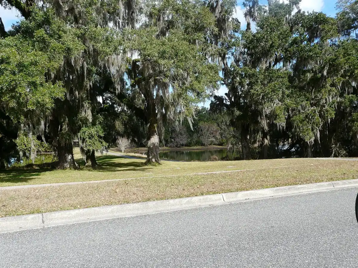 Live oaks hung with Spanish moss beside the lake at the south end of SouthWood's central park in Tallahassee.