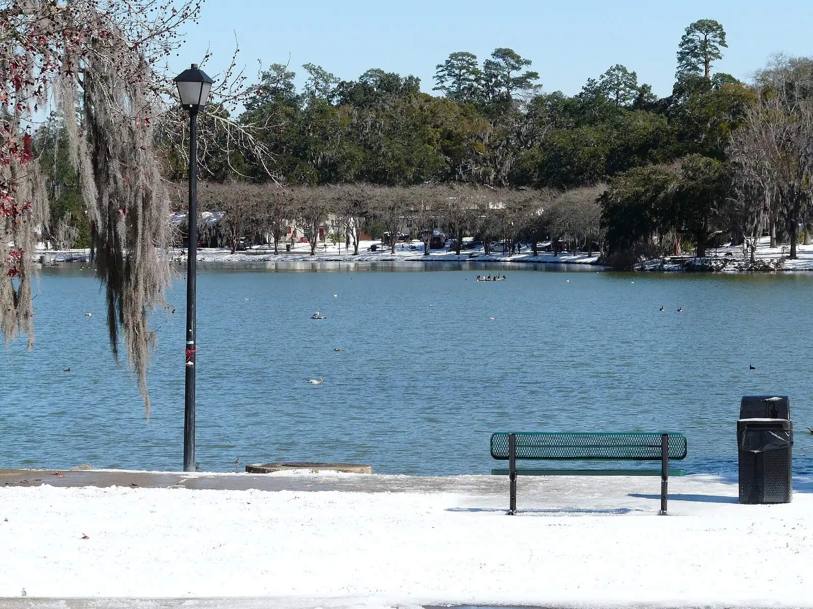 A bench and lamppost on the shore of Lake Ella, a city park north of downtown Tallahassee, after a snowfall.