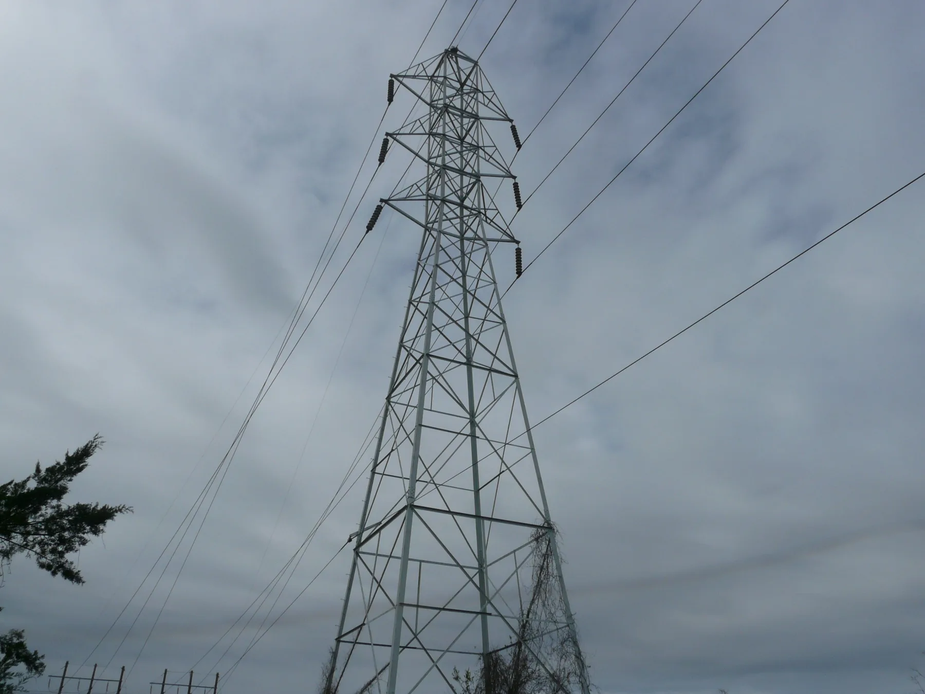 A power transmission line tower at Lake Elberta in Tallahassee.