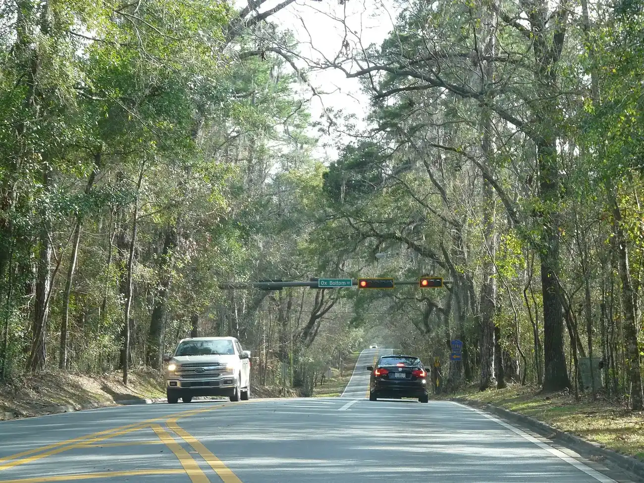 The traffic signal at Meridian Road and Ox Bottom Road, near Hawks Rise Elementary in north Tallahassee