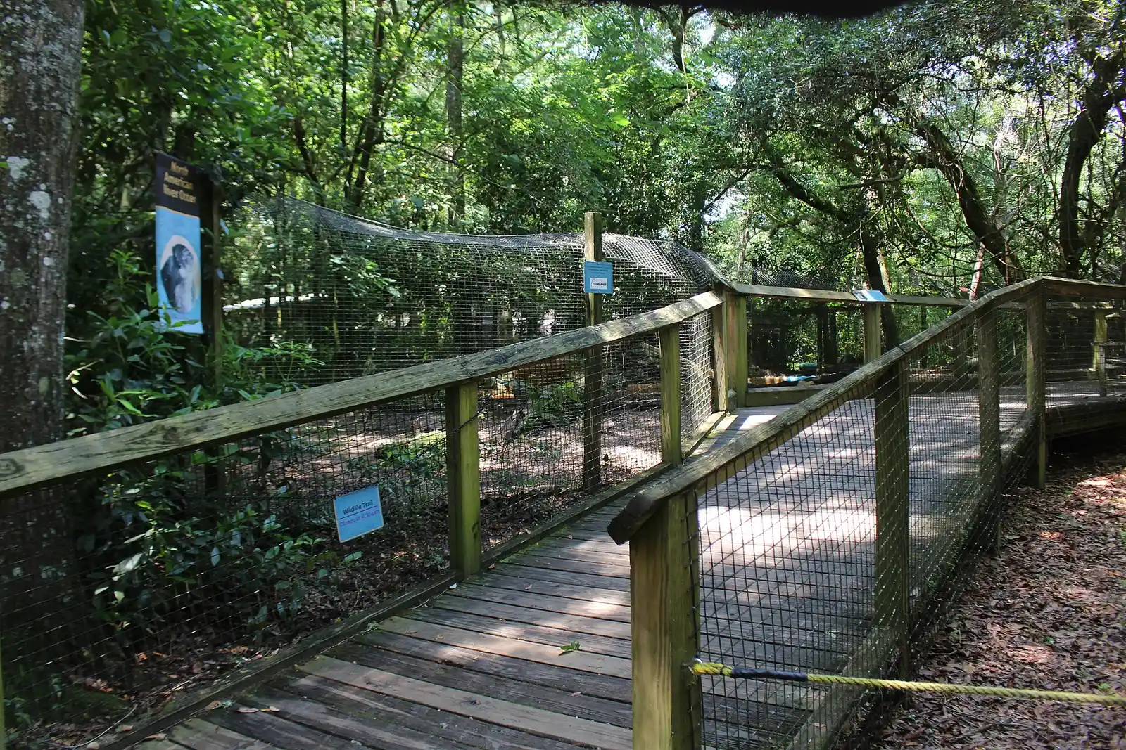 The elevated boardwalk to the river otter exhibit on the Florida Wildlife Trail at the Tallahassee Museum.